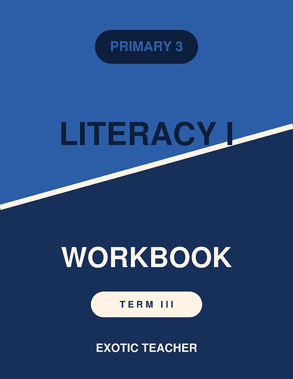 p3 literacy 1 b (social studies) notes term 3